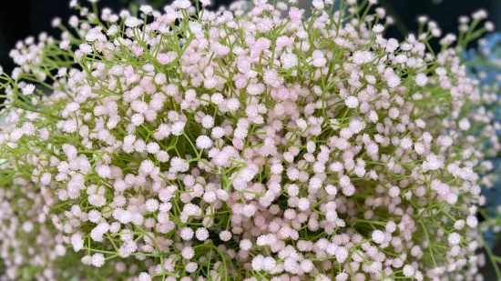 Precio de fábrica flor artificial Gypsophila Babysbreath para decoración de boda como telón de fondo