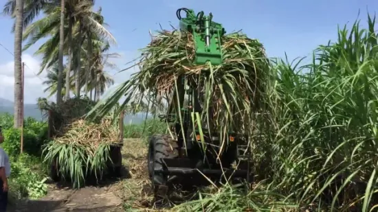 Equipo de carga de agarre agrícola del cargador de caña de azúcar de la marca Hongyuan